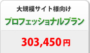 大規模サイト向け プロフェッショナルプラン 303,450円